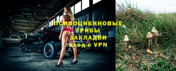 молекула духа Армянск
