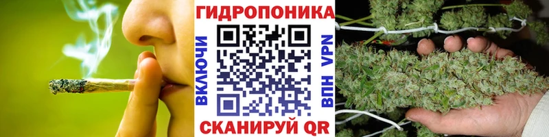 гидра зеркало  Оса  Шишки марихуана THC 21% 